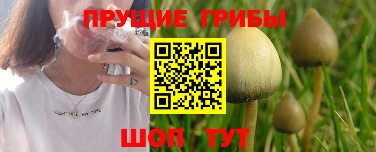 Псилоцибиновые грибы Magic Shrooms  Вход с VPN  Заречный 